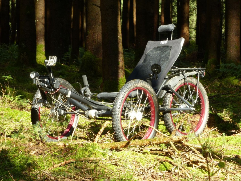 Allrad Trike_P1000136