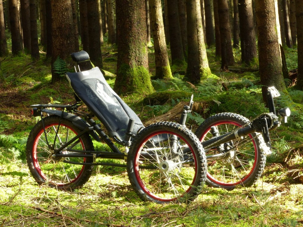 Allrad Trike_P1000141